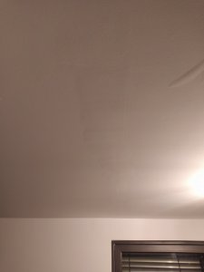 IMG_20201210_165158.jpg