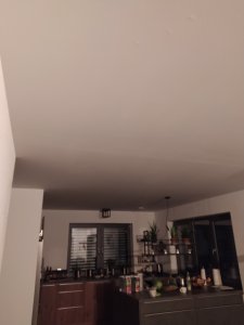 IMG_20201210_165204.jpg