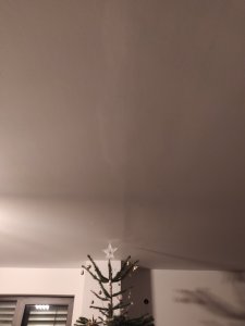 IMG_20201210_165154.jpg
