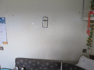 IMG_0104.JPG