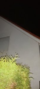20210117_195702.jpg