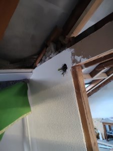 Zwischenwand Flurseite.jpg