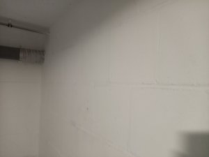 20210123_131606.jpg