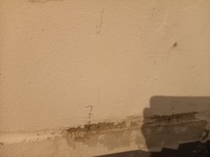 20210123_131636.jpg