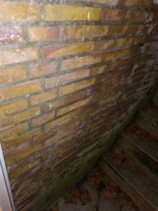 IMG_20210125_172033.jpg
