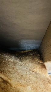 IMG_2674.jpg