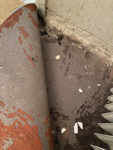 Greenshot 2021-01-28 18.24.59.png