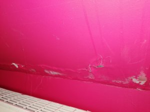IMG_20210129_112115.jpg