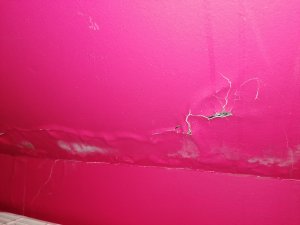 IMG_20210129_112159.jpg