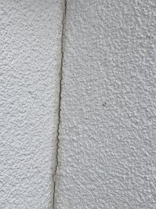 ECD4C054-56DA-4A7C-B316-19C0F9B1860A.jpeg