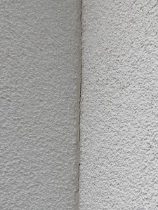 E79BDEBA-063F-4DCB-BE14-3F6EB78089A4.jpeg