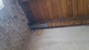 Image 2021-02-02 at 15.51.11 (1).jpeg