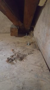 Image 2021-02-02 at 15.51.12 (1).jpeg