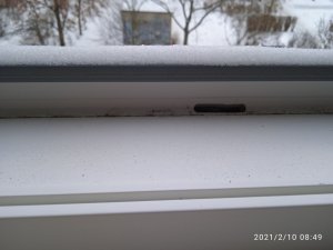IMG_20210210_084921.jpg