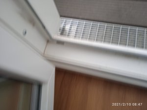 IMG_20210210_084753_1.jpg