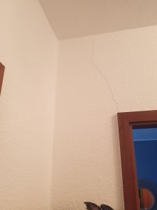 20210212_104651.jpg