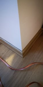 IMG_20210211_204818.jpg