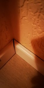 IMG_20210211_180954.jpg