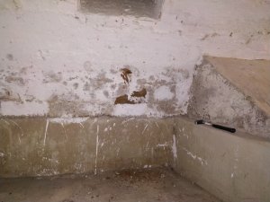 IMG_20210212_130206.jpg