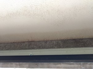 IMG_20201208_104130921.jpg