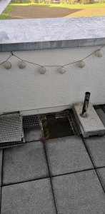 IMG_20210219_103303.jpg