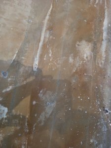 2021-02-27 17.58.49.jpg