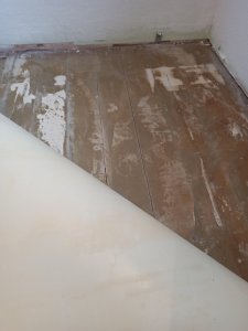 2021-02-27 17.59.05.jpg