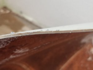 2021-02-27 18.02.09.jpg