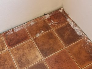 2021-02-27 18.02.25.jpg