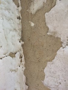 IMG_2130.JPG