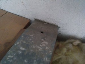 IMG_20210227_133117_767.jpg