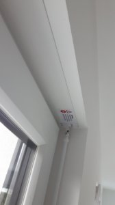 20210312_072925.jpg