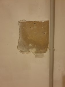 20201003_160930.jpg
