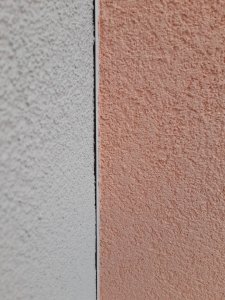 20210315_071445.jpg