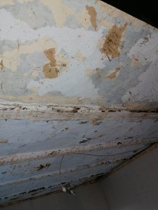 IMG_20210327_175320.jpg