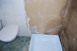 DSC_0133.JPG