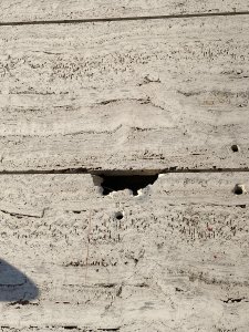 WhatsApp Image 2021-04-04 at 10.58.07.jpeg