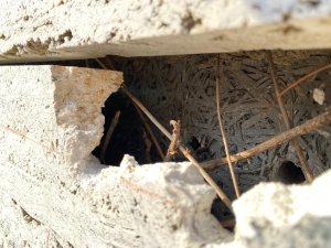 WhatsApp Image 2021-04-04 at 10.58.07 (1).jpeg