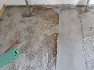 IMG_20210405_184700120.jpg