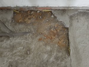 IMG_20210405_184704043.jpg
