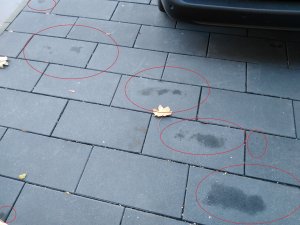 IMG_20201118_101729.jpg