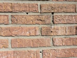 IMG_2259.JPG