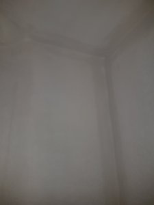 20210410_194356.jpg