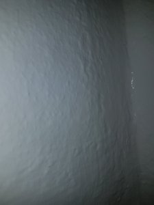 20210410_194405.jpg