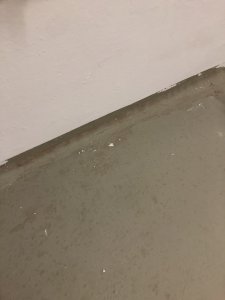 IMG_1281.JPG