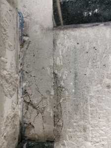 IMG_20190209_150501.jpg