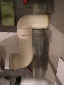 IMG_20210501_162228.jpg