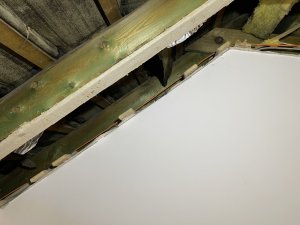 9624AB52-88CF-4D38-849D-C976444BDEEA.jpeg