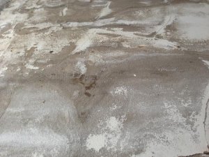 IMG_20130520_164635.jpg