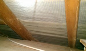 2013-05-22 13.36.35.jpg